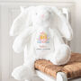 First Easter Soft Toy, thumbnail 1 of 10