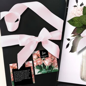 June Pink Tourmaline Birthstone Scented Rose Birthday Gift Boxed, 3 of 8