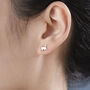Sterling Silver Tiny Mismatched Cat Stud Earrings, thumbnail 5 of 12