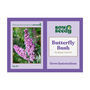 Butterfly Bush Grow Kit, thumbnail 5 of 5