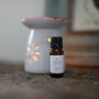 'Ground' Essential Oil Blend, thumbnail 1 of 3