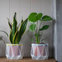 Two Origami Self Watering Eco Plant Pots, thumbnail 9 of 12