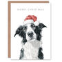 Cute Collie Dog In A Santa Hat Watercolour Christmas Card, thumbnail 1 of 4
