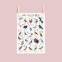 The A To Z Of Birds Print, thumbnail 2 of 6