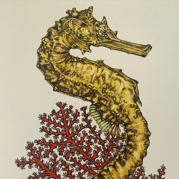 T Is For Tiger Tail Seahorse Illustration Print, 2 of 4