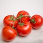Tomato Plants 'Alicante' Six Plug Plant Pack, thumbnail 3 of 6