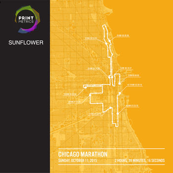 Personalised Chicago Marathon Poster, 12 of 12