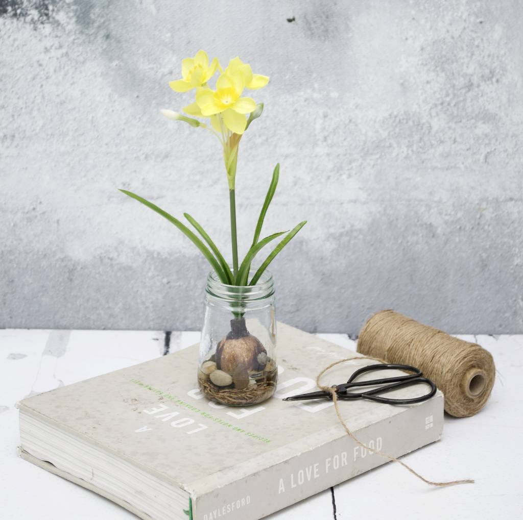 Silk Daffodil With Bulb In Glass Vase By Abigail Bryans Designs