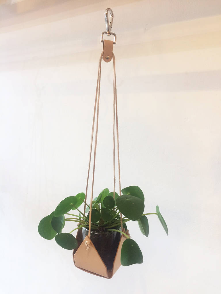 leather plant hanger by kate sheridan