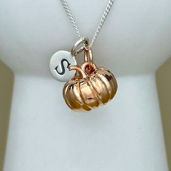 Personalised Large Pumpkin Sterling Silver Necklace, 2 of 11