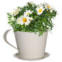 Personalised Cream Tea Cup Planter Gift, thumbnail 2 of 6