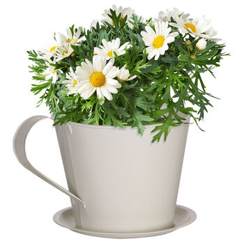 Personalised Cream Tea Cup Planter Gift, 2 of 6