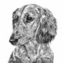 Dachshund Dog Portrait Print, thumbnail 3 of 3