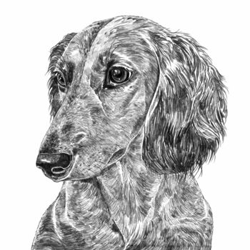 Dachshund Dog Portrait Print, 3 of 3