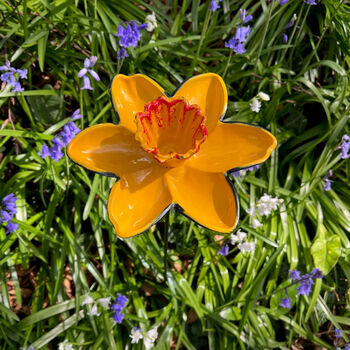 Cast Iron Daffodil Bird Feeder Garden Ornament, 3 of 7