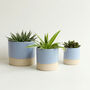 Set Of Two Or Three Handmade Ceramic Plant Pots, thumbnail 6 of 9