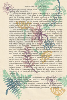 Fern Wood Block Print Vintage Book Page, 5 of 6