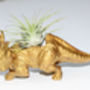 Hand Painted Styracosaurus Dinosaur Planter With Plant, thumbnail 5 of 12