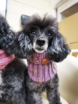 Lilac Roll Top Dog Snood, 4 of 5