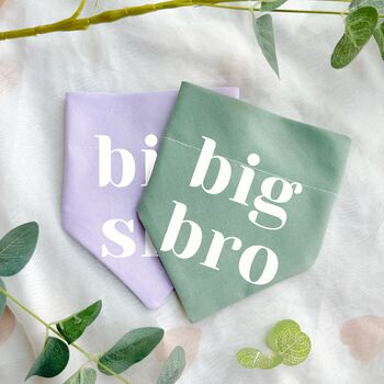 Big Sis Or Bro Pastel Dog Bandana, 3 of 8
