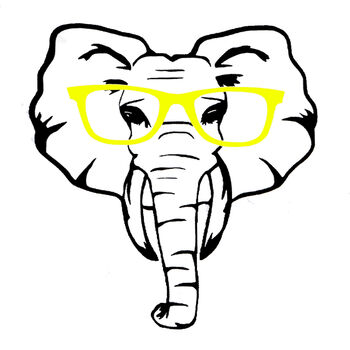 Kids Personalised Elephant With Glasses T Shirt, 2 of 4