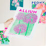 Allium Flower Risograph Print, thumbnail 4 of 4