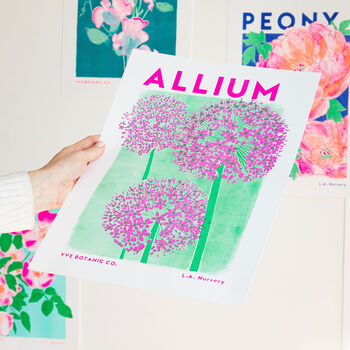 Allium Flower Risograph Print, 4 of 4