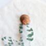 Eucalyptus Muslin Swaddle Baby Blanket, thumbnail 8 of 12