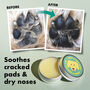 Nose And Paw Balm For Dogs, thumbnail 2 of 10