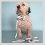 Daisy And Polka Dot Dog Lead, thumbnail 3 of 3