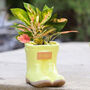 Personalised Yellow Welly Boots Planter, thumbnail 1 of 7