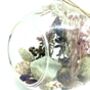 Dried Flowers And Fluorite Crystal Terrarium Kit, thumbnail 3 of 6