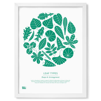 'Leaf Types' Illustrated Art Print In Emerald Green, 4 of 4