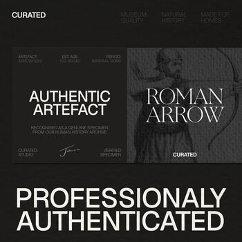 Authentic Roman Javelin Tip Arrowhead Glass Dome Bell Jar, 3 of 5