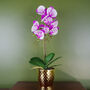 Purple White Orchid Artificial 50cm Gold Pot Real Touch, thumbnail 1 of 4