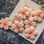 Sakura Flowers Luxury Biscuits Gift Box, 8pcs, thumbnail 5 of 7