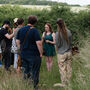 Summer Foraging Workshop For One In The South Downs, thumbnail 4 of 11