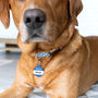 Personalised 'Hello My Name Is' Pet ID Tag, thumbnail 1 of 9