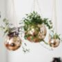 Disco Ball Hanging Planter, thumbnail 2 of 6