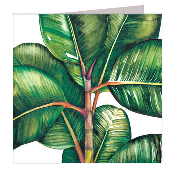 Ficus Bengalesis Greetings Card, 3 of 5
