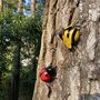 Ladybird And Bumble Bee Garden Wall Ornament, thumbnail 2 of 7