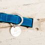 Constantine Blue Velvet Collar And Lead Set, thumbnail 4 of 6