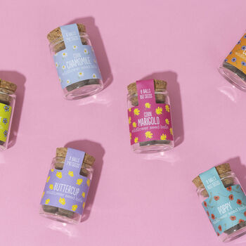 Wildflower Jar Stocking Fillers Set Of Six Flowers, 2 of 11