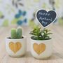 Gold Heart Mini Planter With A Succulent Or Cacti, thumbnail 4 of 7