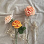 Paper Rose And Dried Gypsophila Bouquet, thumbnail 7 of 7