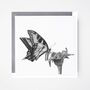 Antares Butterfly Blank Nature Greeting Card, thumbnail 2 of 6