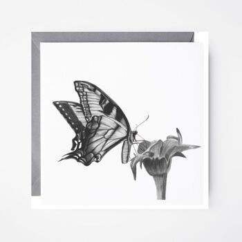 Antares Butterfly Blank Nature Greeting Card, 2 of 6