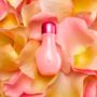 Rose Fragrance Oil 10ml, thumbnail 1 of 3