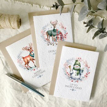 Funny Pun Christmas Cards, Multi Pack Of 12, Eco Friendly Plantable Wildflower, 4 of 4