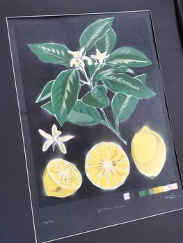 'Citrus Limon' Original Signed Spraypaint, 5 of 12